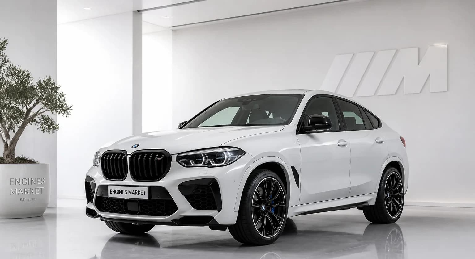 BMW X6 M
